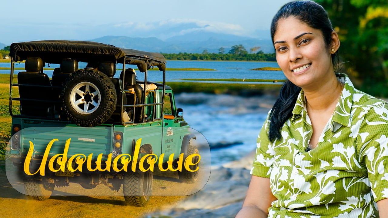 Udawalawe Trip Thumbnail