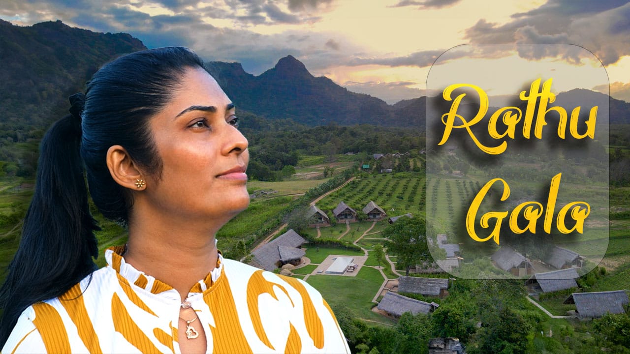 Wild Glamping Thumbnail