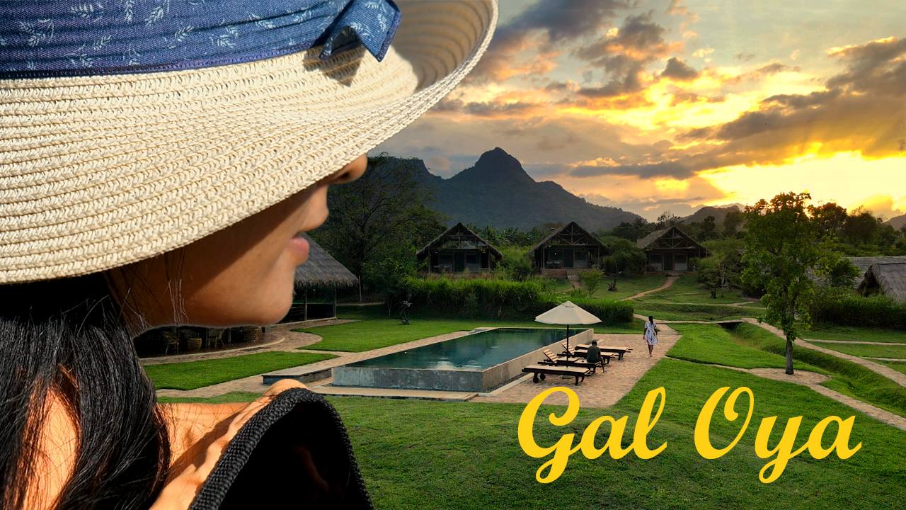 Gal Oya Birds Thumbnail