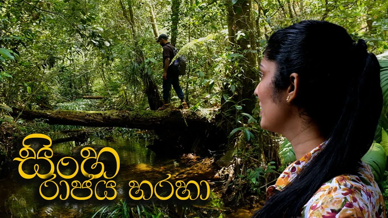 Sinharaja Trek Thumbnail